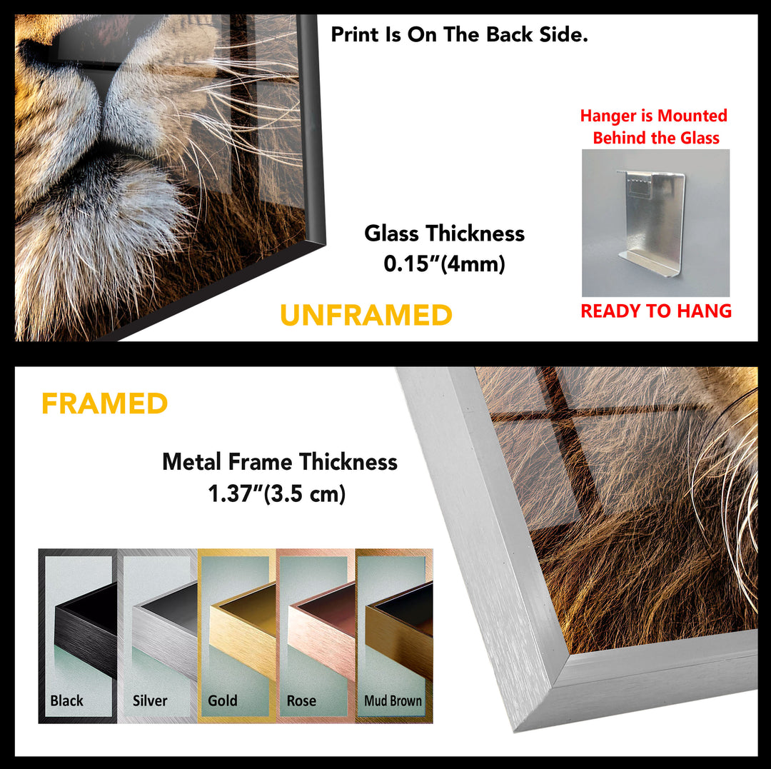 Lion Wild Life Tempered Glass Wall Art - MyPhotoStation