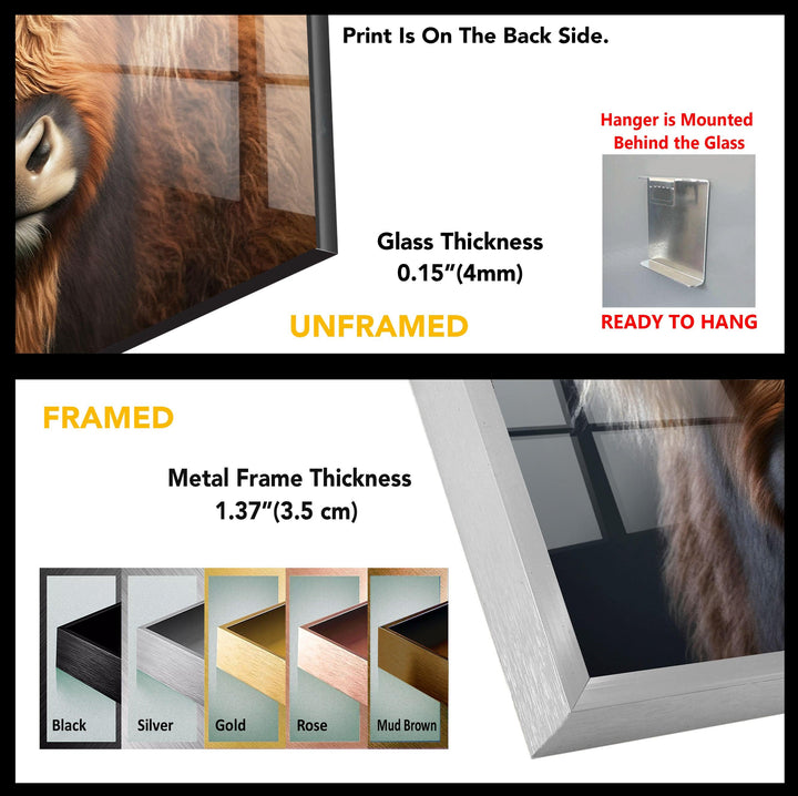 Scottish Cow Tempered Glass Wall Art - MyPhotoStation