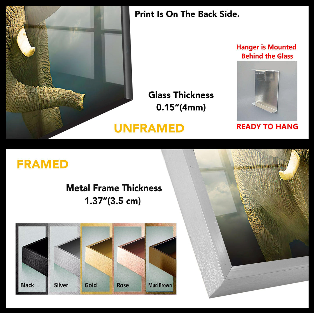 Elephant Tempered Glass Wall Art - MyPhotoStation