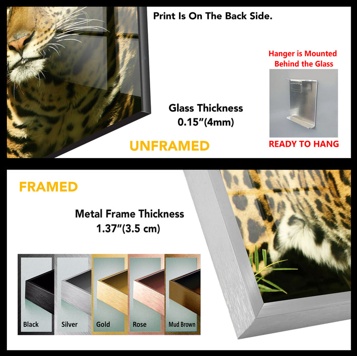 Wild Animal Cheetah Tempered Glass Wall Art - MyPhotoStation