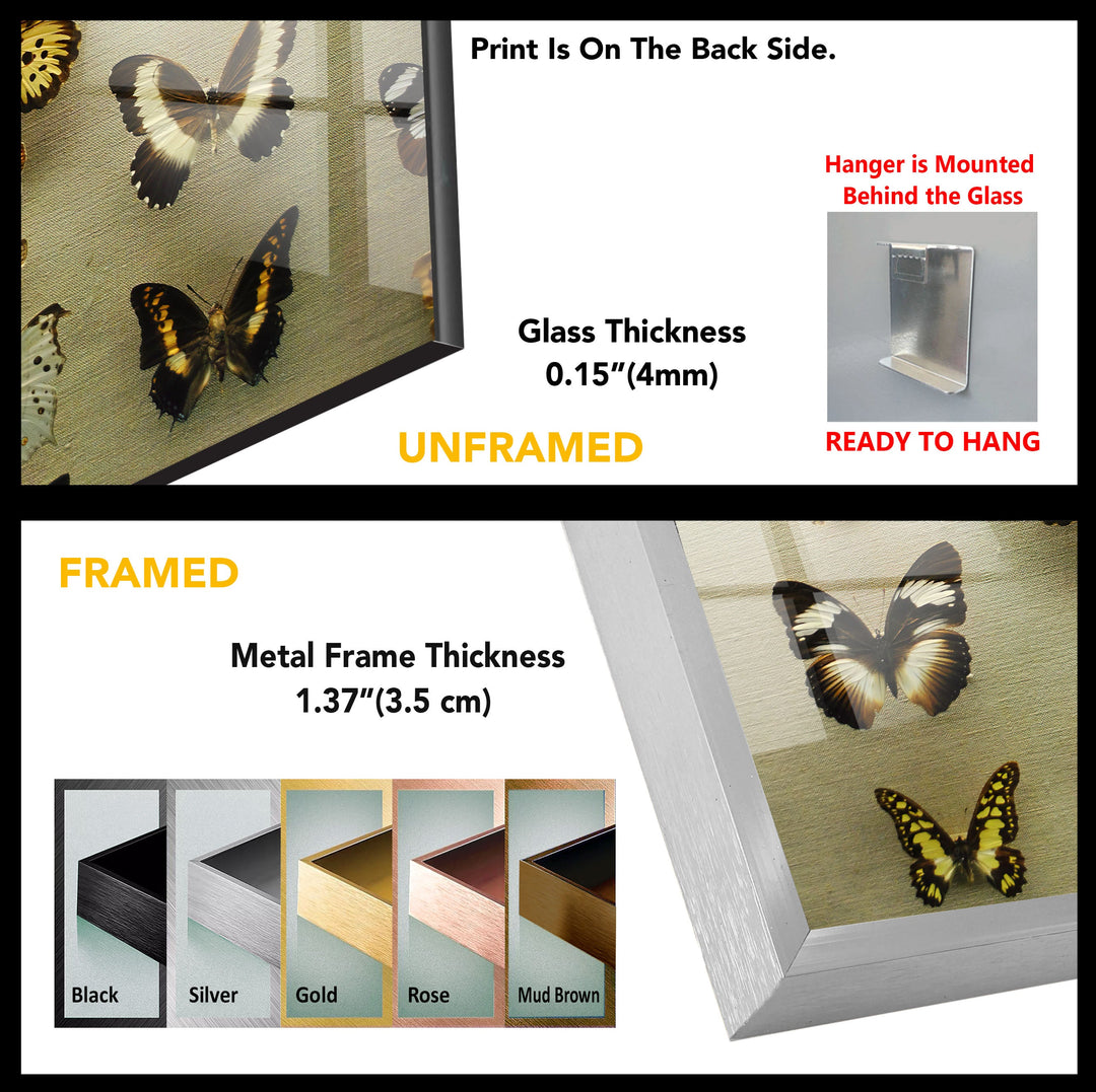 Butterfly Collection Photo Tempered Glass Wall Art - MyPhotoStation