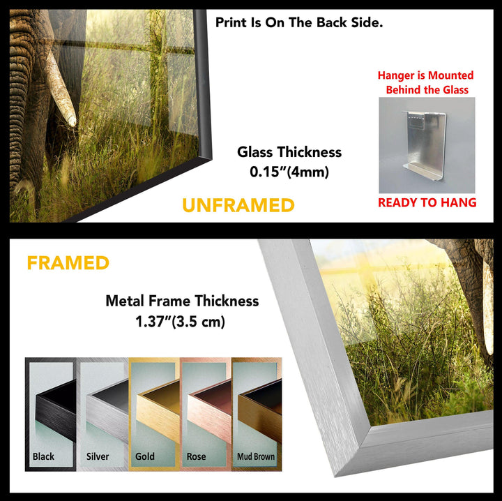 Safari Animal Elephant Tempered Glass Wall Art - MyPhotoStation