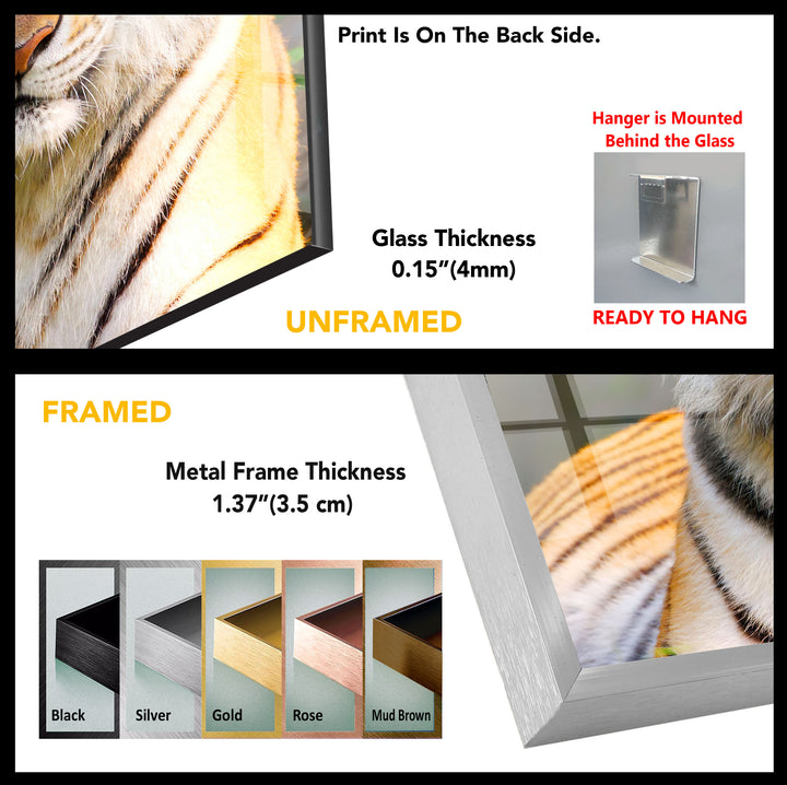 Wild Cat Tempered Glass Wall Art - MyPhotoStation