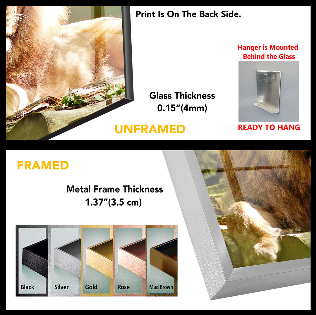 Wild Cat Animal Tempered Glass Wall Art - MyPhotoStation