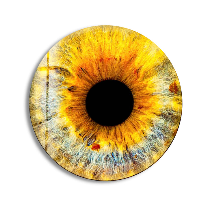 Yellow Eye Round Glass Wall Art stained glass wall art, stained glass wall decor
