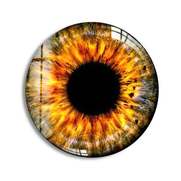 Orange Eye Round Glass Wall Art print on glass, glass printed photos