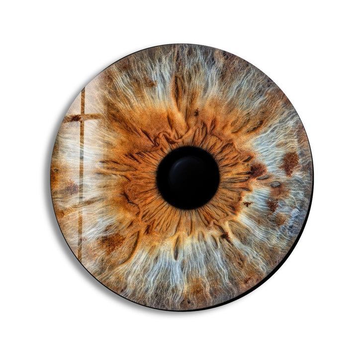 Brown Eye Round Glass Wall Art glass art painting, glass art for the Wall
