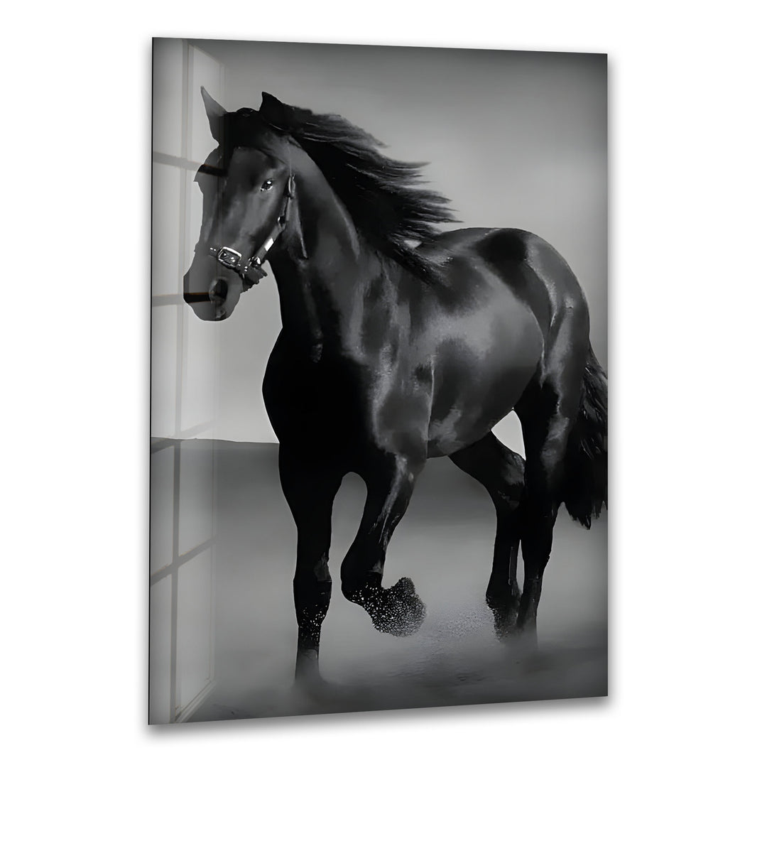 Majestic Black Stallion – Black & White Horse Photography Wall Art