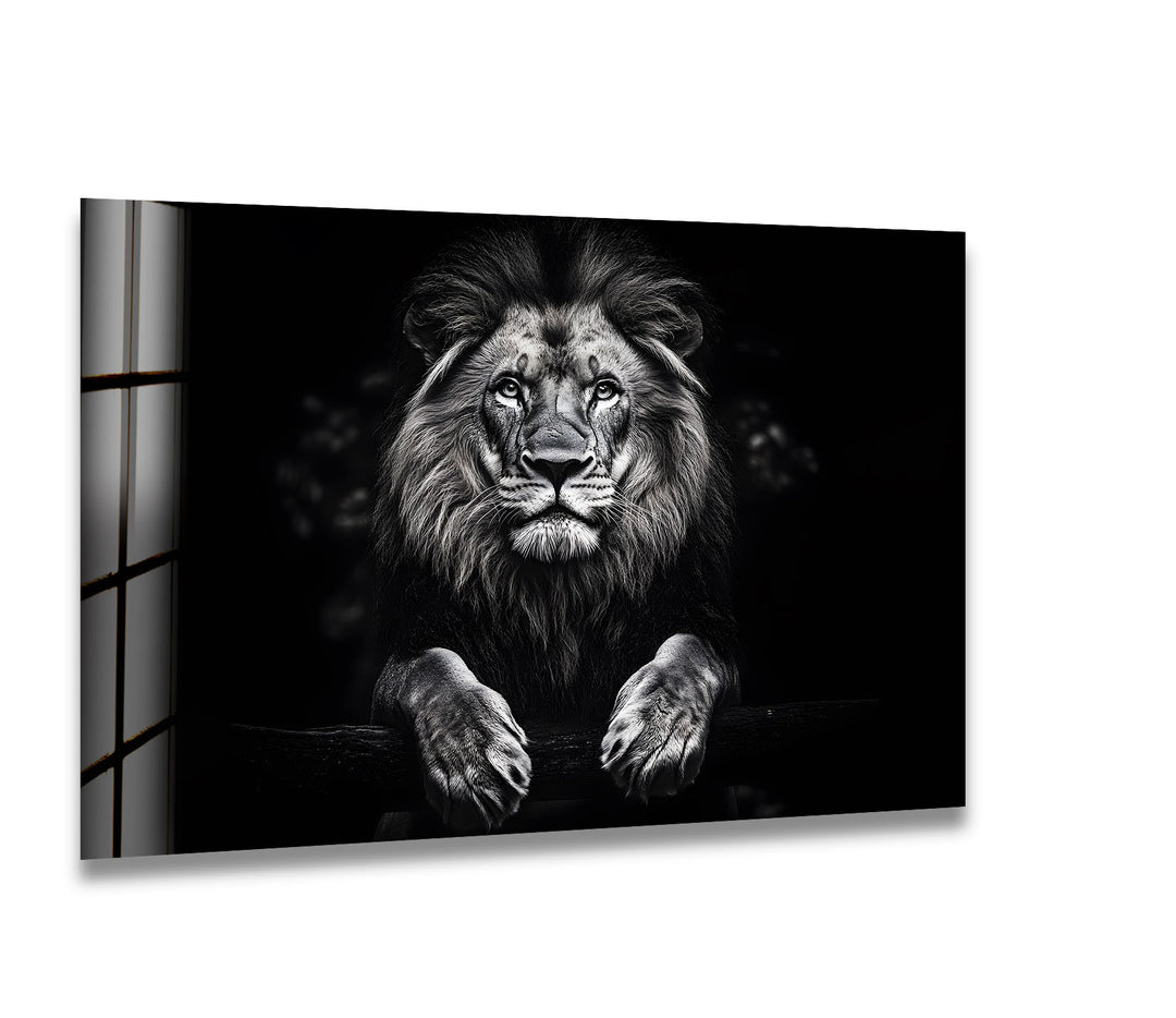 Majestic lion in black-and-white, captured on glass, adding elegance to any space.
