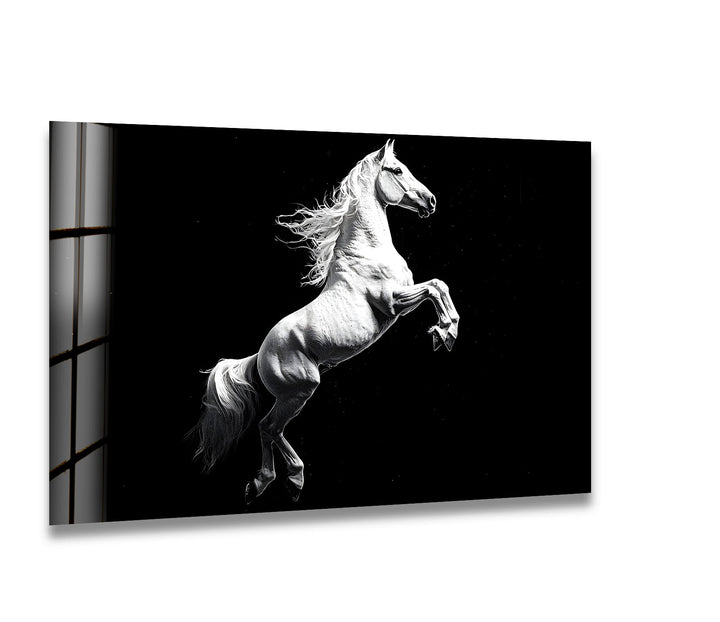 A powerful white horse rearing against a black background, captured in stunning black and white glass wall art.