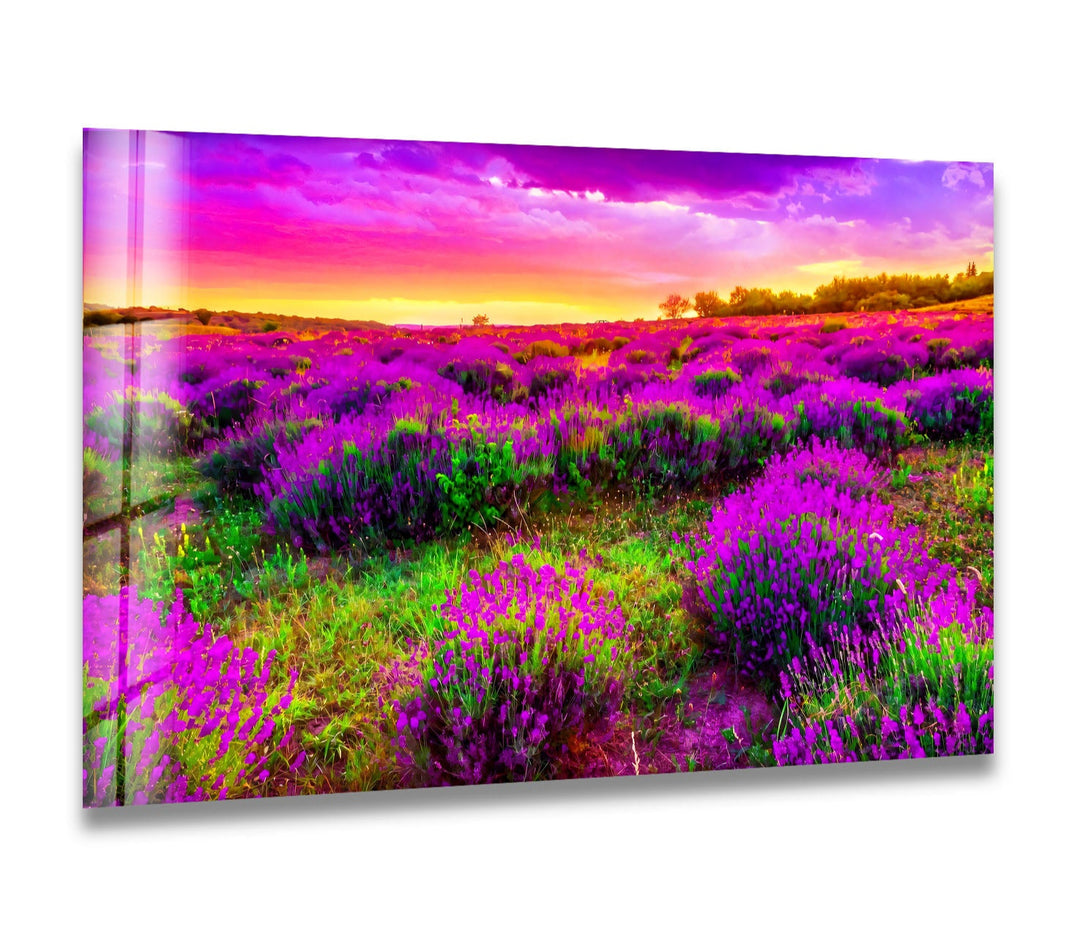 Lavender Field Glass Wall Art – Vibrant Sunset Floral Landscape