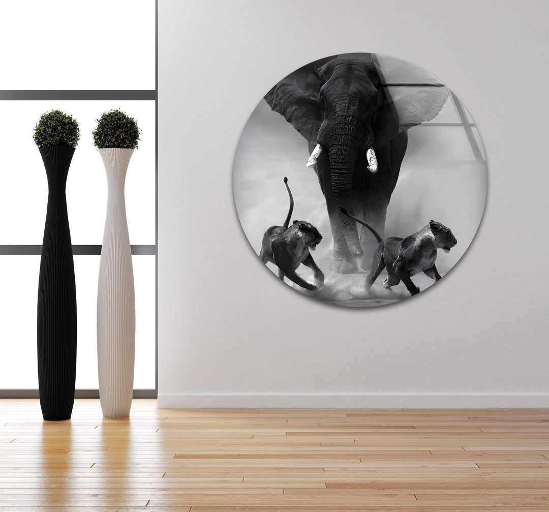 The King’s Charge - Wildlife Black and White Glass Wall Art
