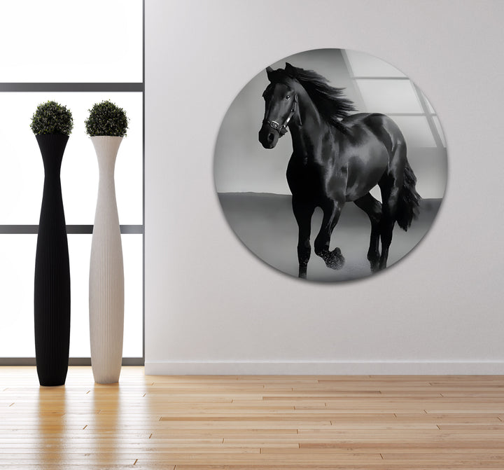 Majestic Black Stallion – Black & White Horse Photography Wall Art