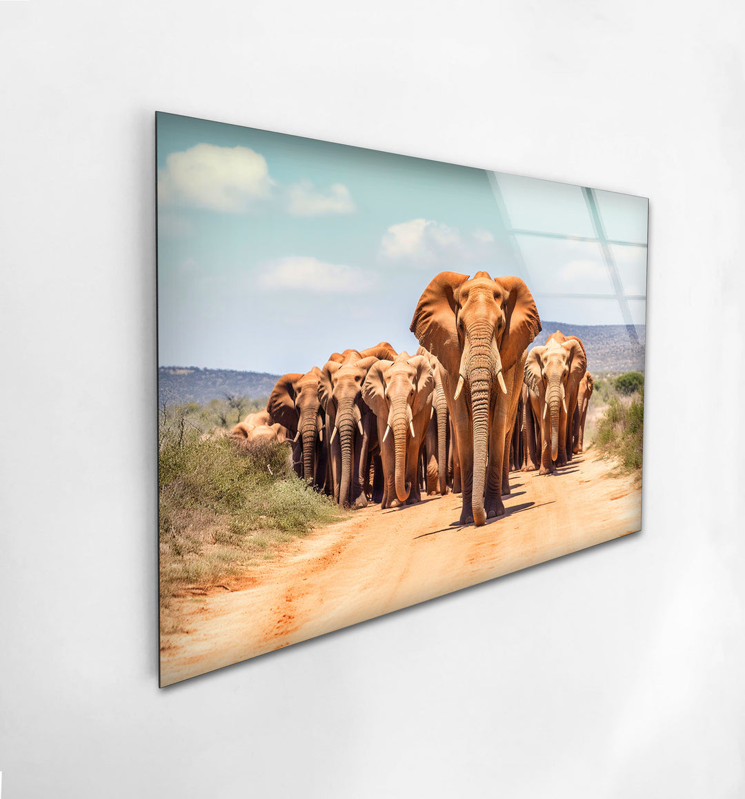 Elephants in The Wild Glass Wall Art picture on glass wall art, photos printed on glass