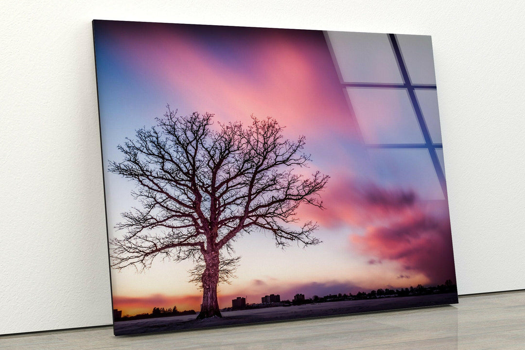 Huge Tree On Pink Sunset Glass Wall Art large glass photo prints, glass wall photos