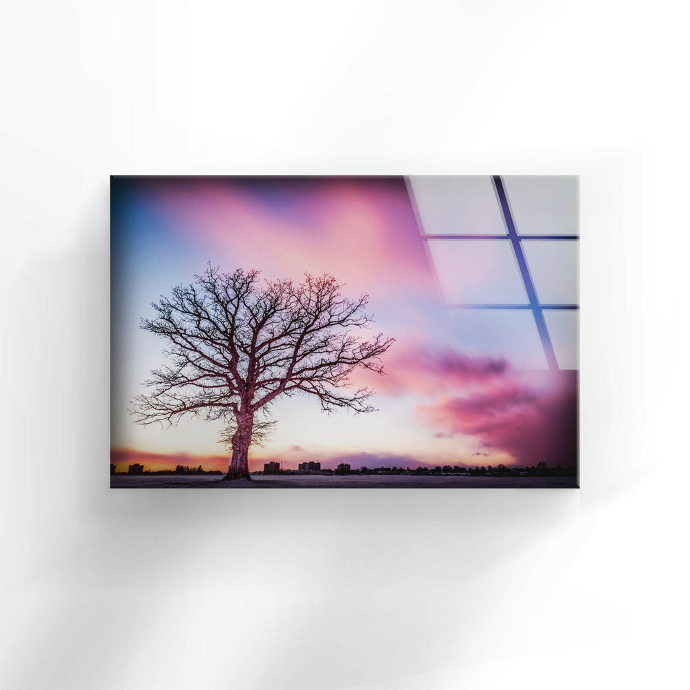 Huge Tree On Pink Sunset Glass Wall Art photo print on glass, prints on glass wall art