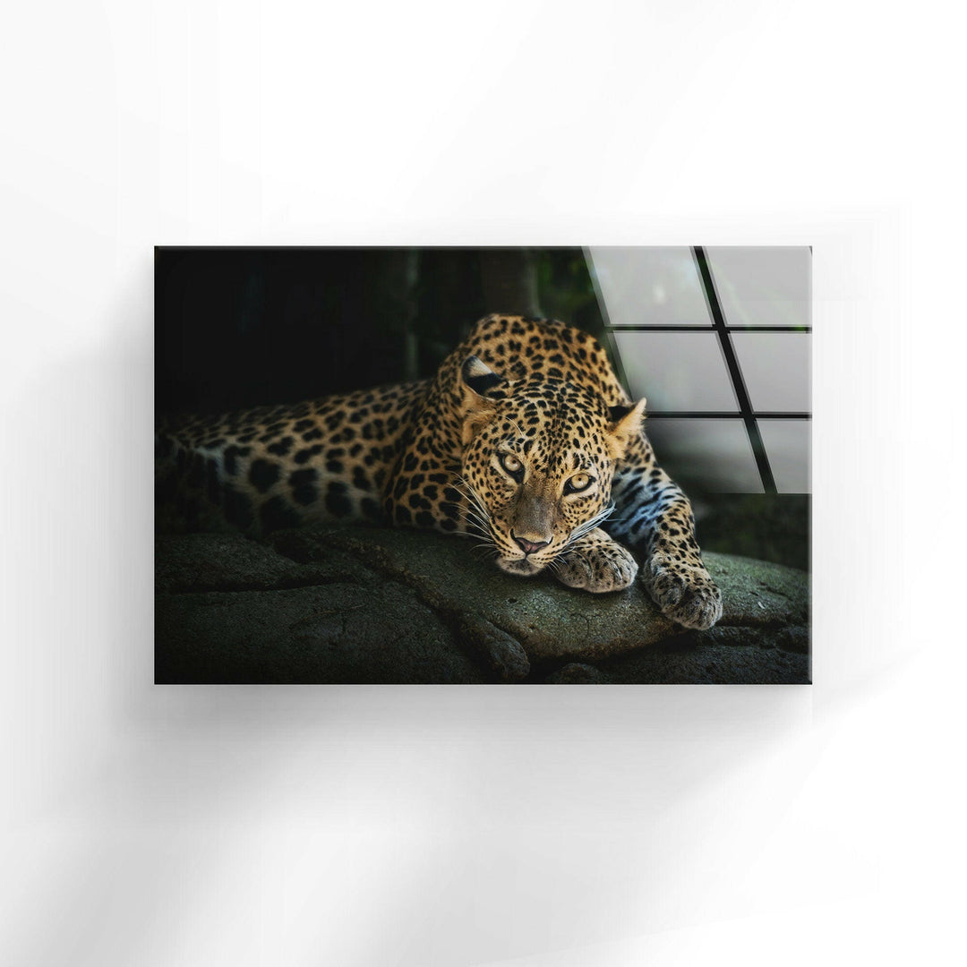 Fierce Leopard Glass Wall Art glass photo prints, glass picture prints