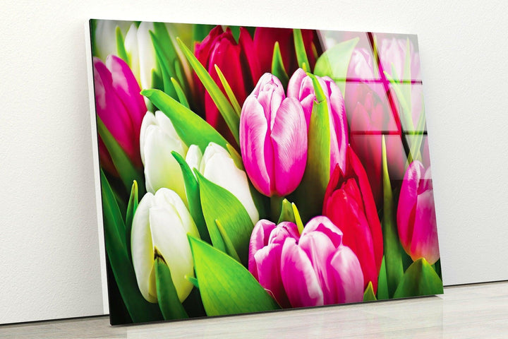 Colorful Tulips Glass Wall Art, glass photo prints, glass picture prints