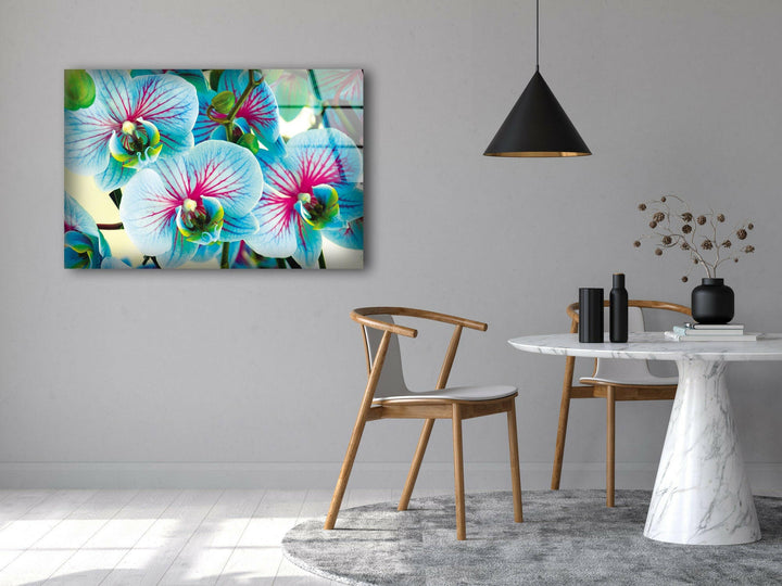 Blue & Pink Orchids Flowers Glass Wall Art, glass pictures for Wall, glass prints wall art