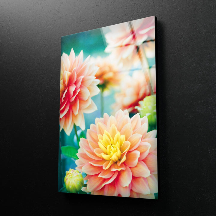 Dahlia Flowers Glass Wall Art, large glass photo prints, glass wall photos