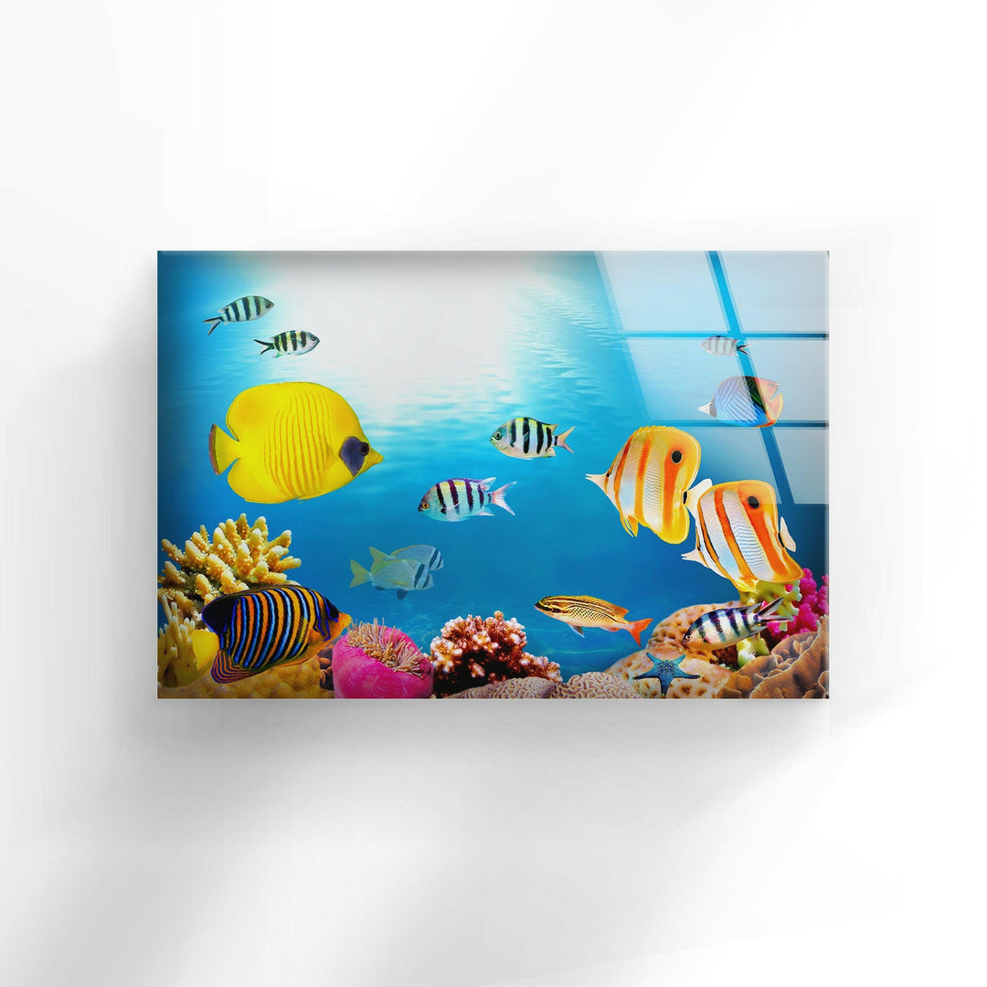 Tropical Fishes Glass Wall Art large glass photo prints, glass wall photos