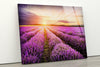 Purple Lavender Field Tempered Glass Wall Art