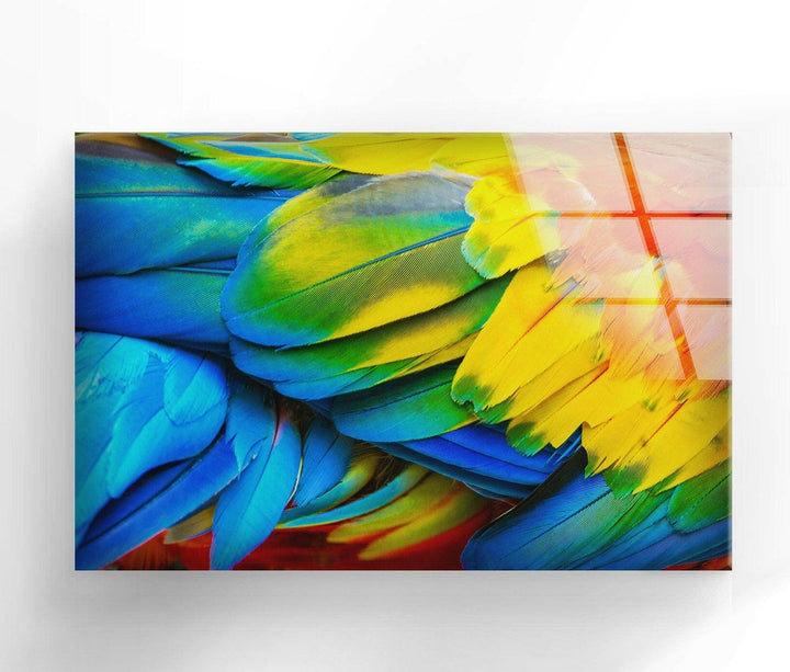 feathers tempered glass wall art