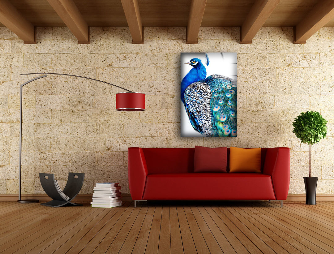 Peacock Portrait Glass Wall Art art glass wall art, glass wall art pictures