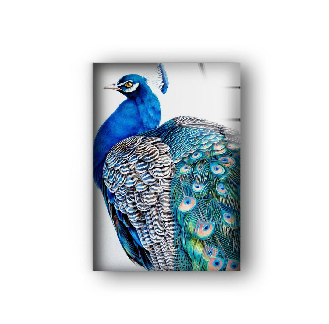 Peacock Portrait Glass Wall Art glass art painting, glass art for the Wall