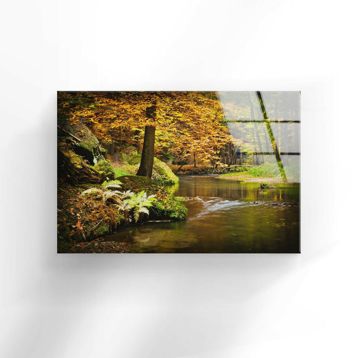 River in The Forest Glass Wall Art glass photo prints, glass picture prints