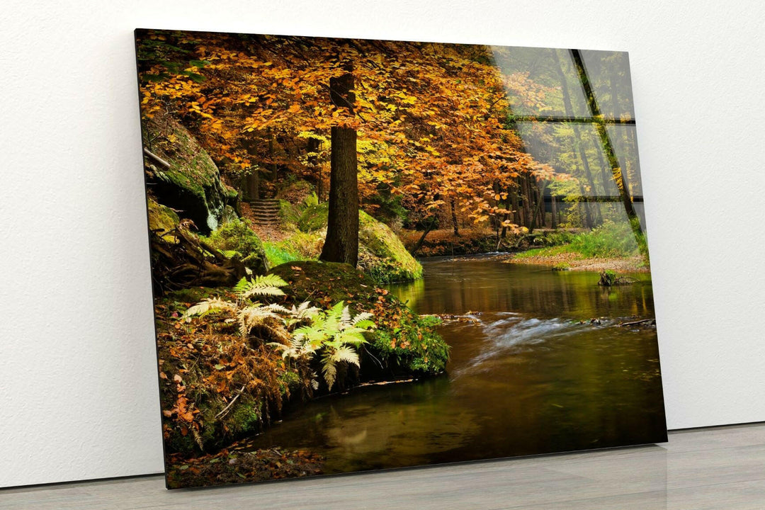 River in The Forest Glass Wall Art glass image printing, glass prints from photos