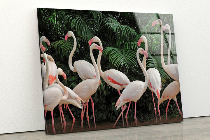 Group White Flamingos Glass Wall Art glass art painting, glass art for the Wall