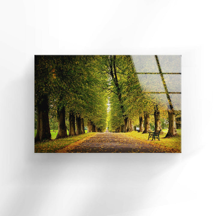 Nature Forest Glass Wall Art print picture on glass, Tempered Glass Wall Art