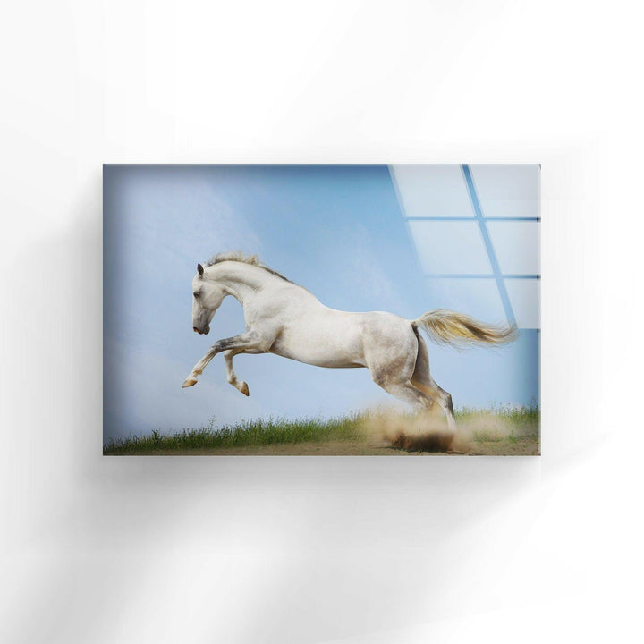 Running White Horse Glass Wall Art large glass photo prints, glass wall photos