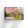 Spring Trees Landscape Glass Wall Art photo print on glass, prints on glass wall art