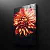 Orange Dahlia In Bloom Glass Wall Art, custom glass pictures, glass art prints