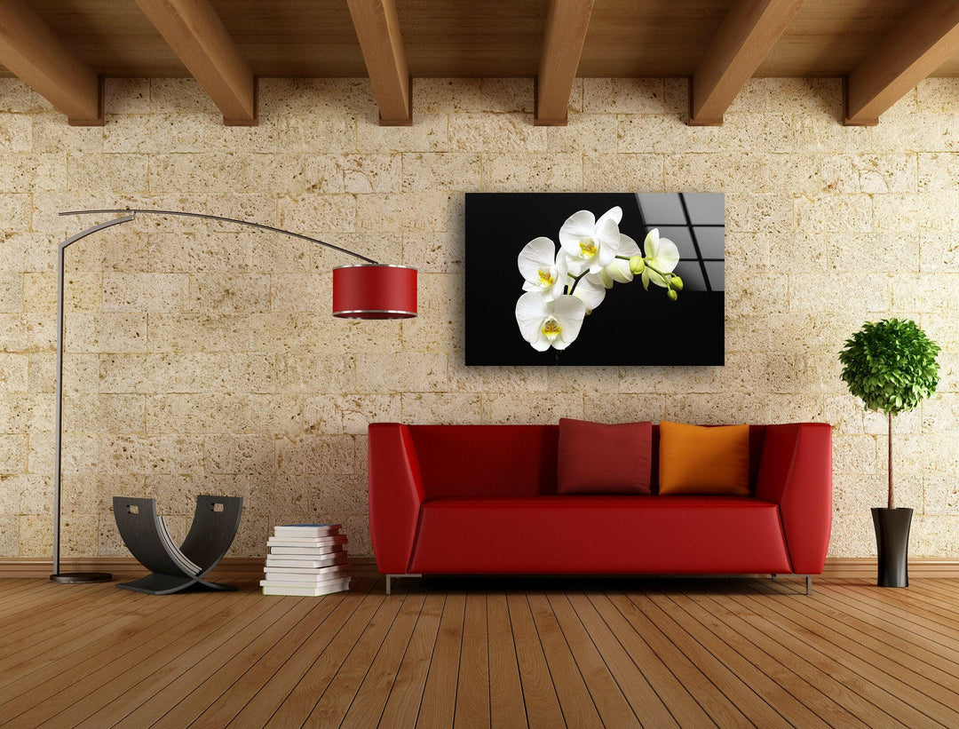 White Orchid Glass Wall Art, photo print on glass, prints on glass wall art