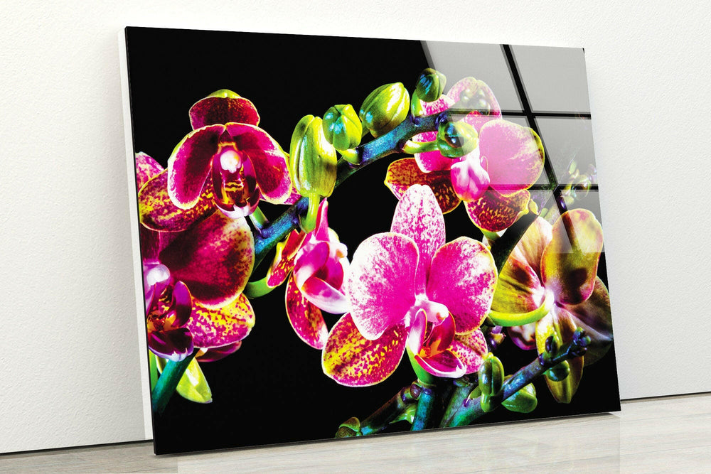 Orchid Closeup On Black Glass Wall Art, glass wall decor, glass wall art decor
