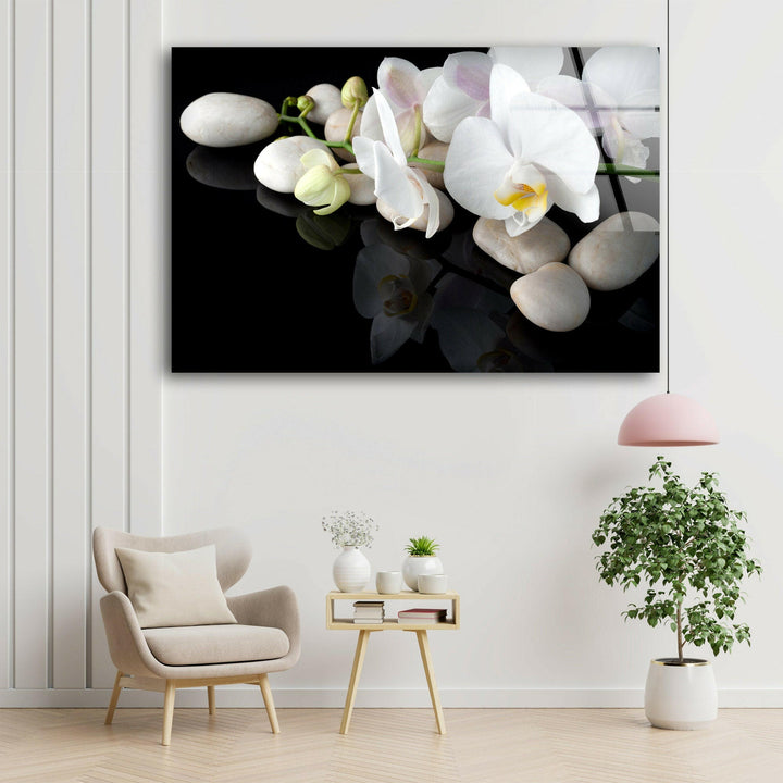 White Orchid Flower Glass Wall Art, glass image printing, glass prints from photos