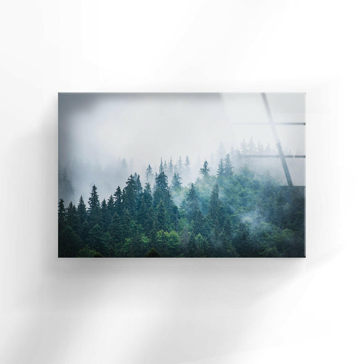 Foggy Forest Nature Glass Wall Art