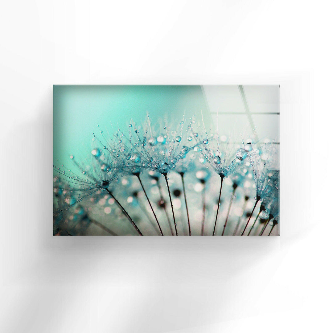 Drops On A Dandelion Glass Wall Art, photo print on glass, prints on glass wall art