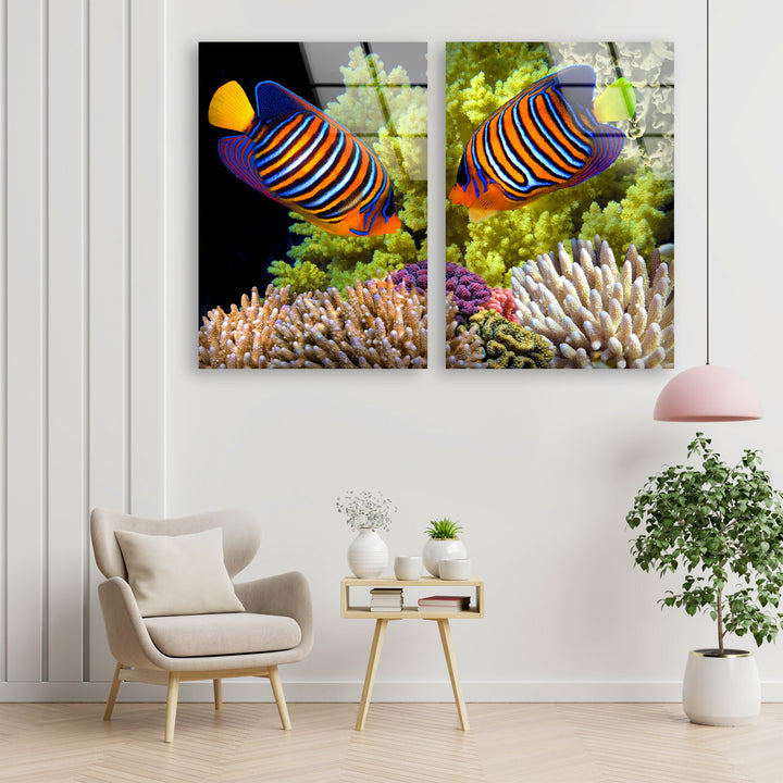 Royal Angelfish Undersea Landscape Glass Wall Art, glass photo prints, glass picture prints