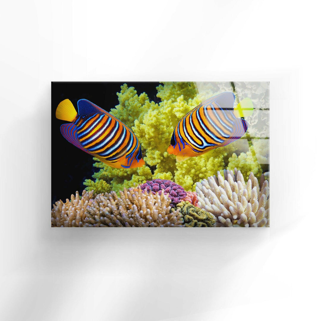 Polyp Butterflyfish Glass Wall Art Glass Printing Wall Art, Print photos on glass