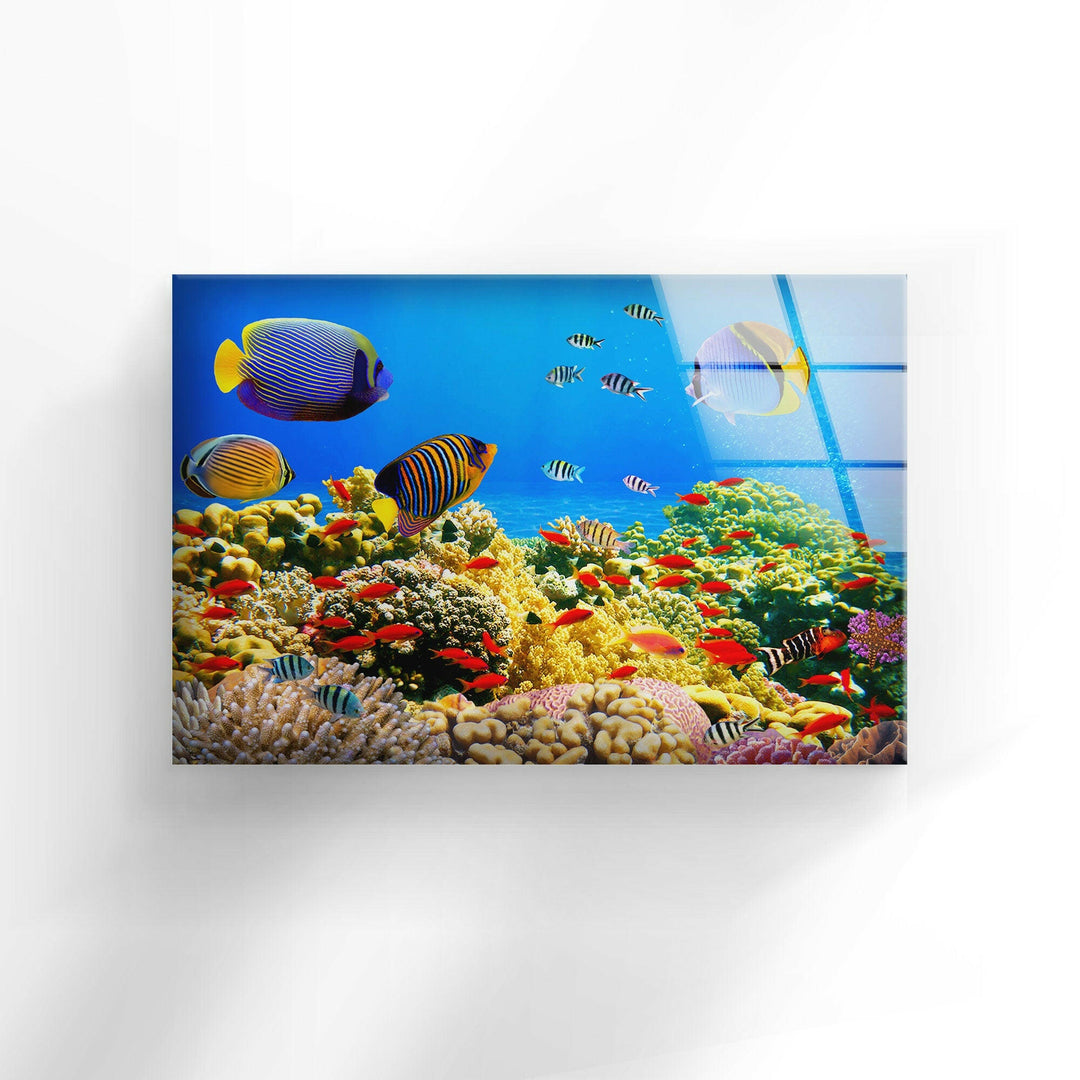 Tropical Fishes at Aquarium Modern Glass Photo Prints for Walls