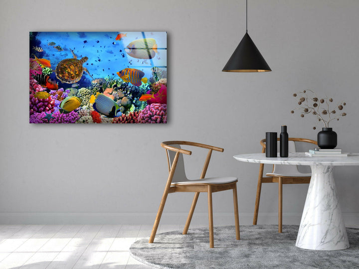 Underwater Animals Glass Wall Art glass image printing, glass prints from photos