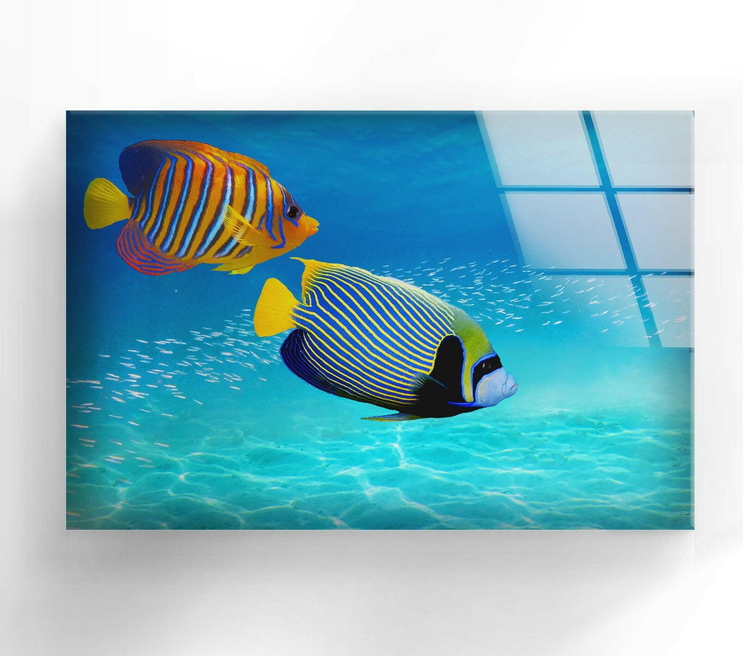 Underwater Fishes And Aquarium Vibrant Glass Wall Art Decor