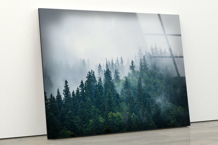 Foggy Forest Nature Glass Wall Art