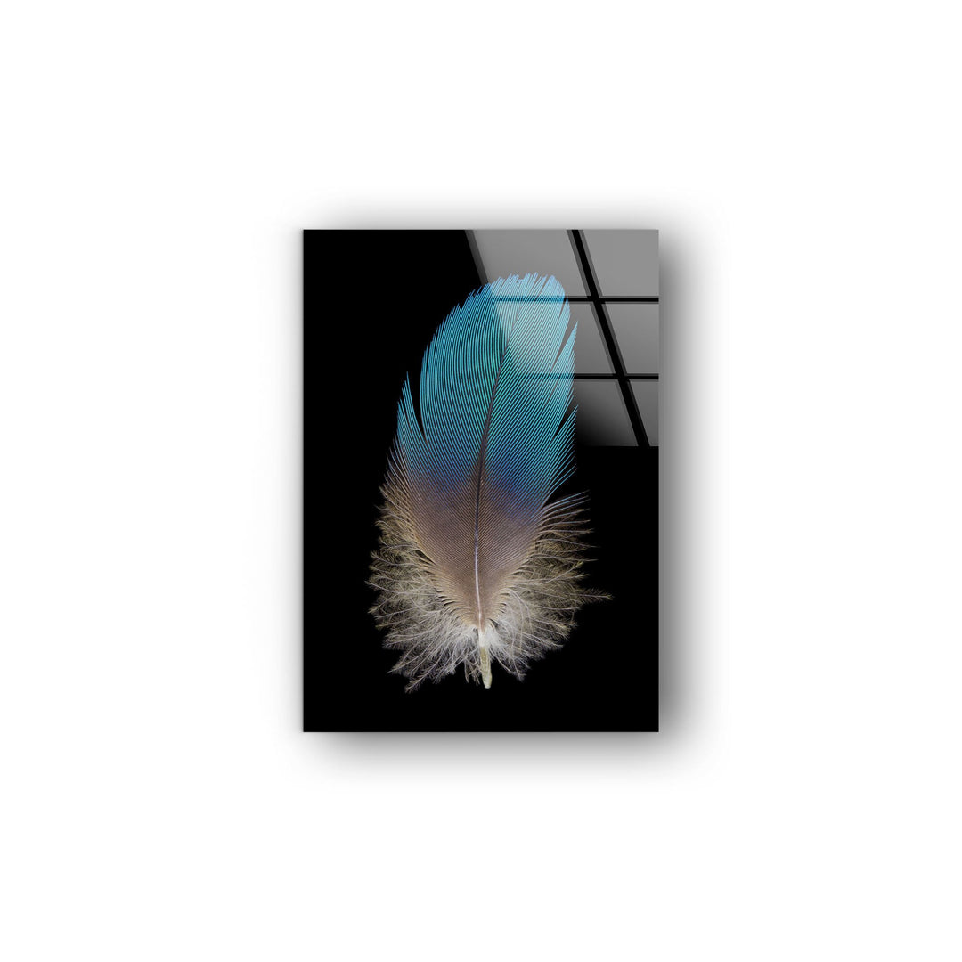 Feather Tempered Glass Wall Art - MyPhotoStation