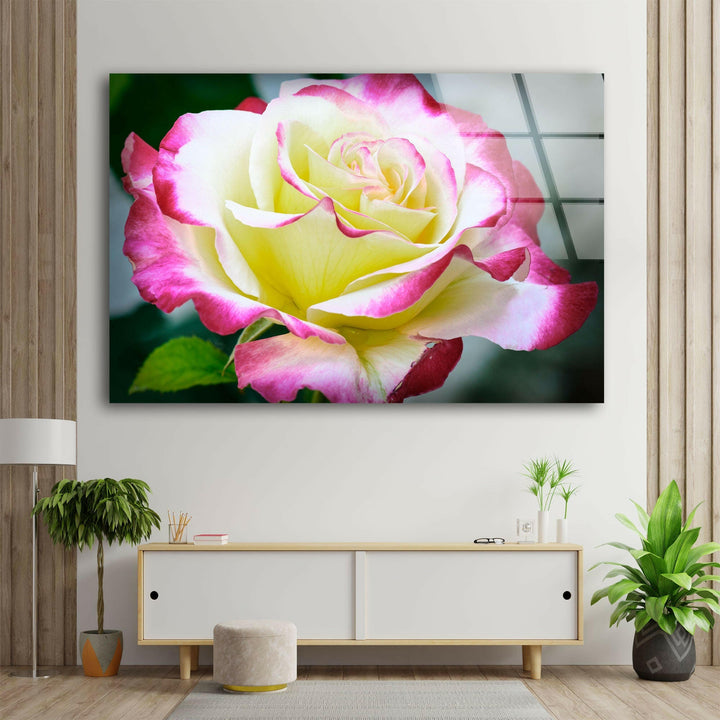 Vivid Yellow Rose Glass Wall Art, photo print on glass, prints on glass wall art