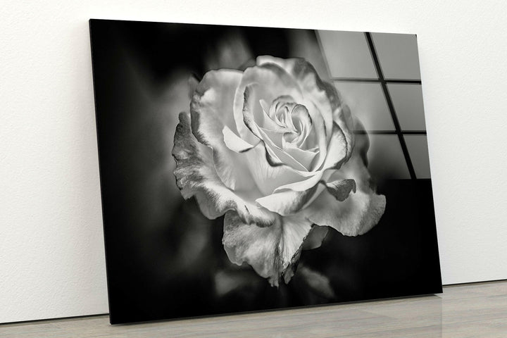 Black - White Rose Glass Wall Art, Glass Printing Wall Art, Print photos on glass